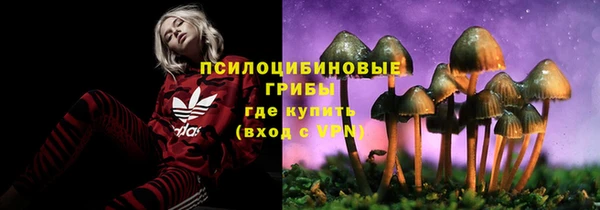 ГАЛЛЮЦИНОГЕННЫЕ ГРИБЫ Заволжье