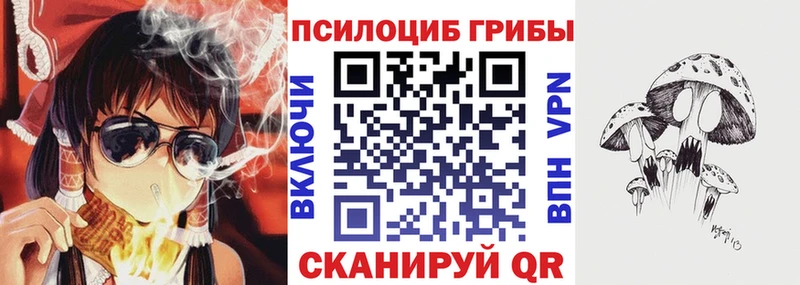 Псилоцибиновые грибы Magic Shrooms  Подпорожье 